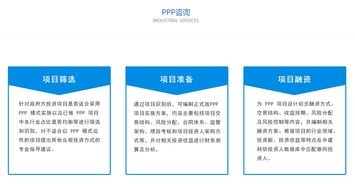 PPP咨詢服務 專業信息咨詢服務的價值與未來