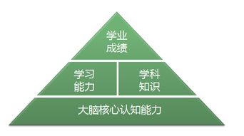 筑夢前行 視友科技以環(huán)境科技開拓全腦培育新領(lǐng)域，助力幼兒智慧教育